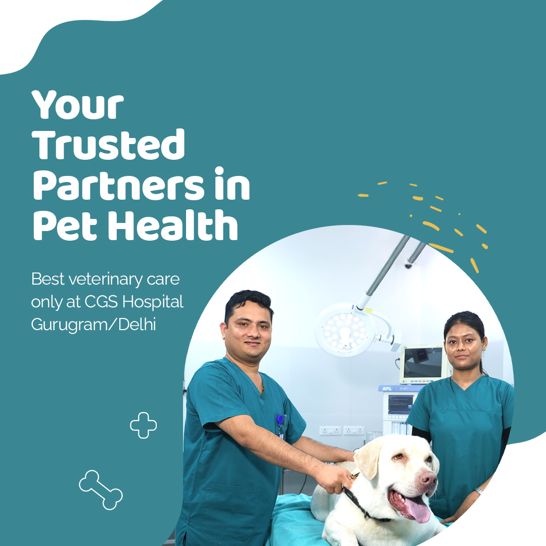pet care doctor