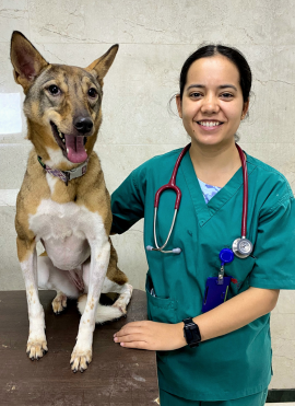 Dr. Mony Bora