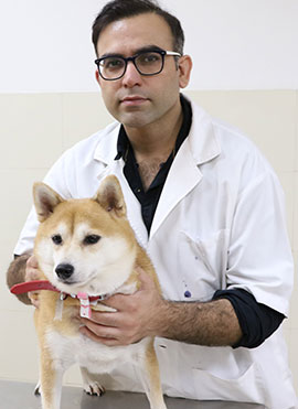 pet care doctor