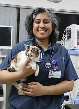 Best Pet Doctors - CGS Hospital | Best Emergency Pet Hospital in Gurgaon