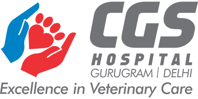 cat hospital in Delhi