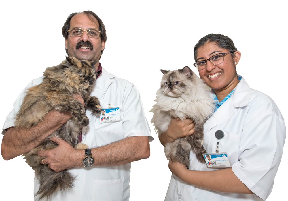 Best Emergency Pet Hospital In Gurgaon Cgs Hospital