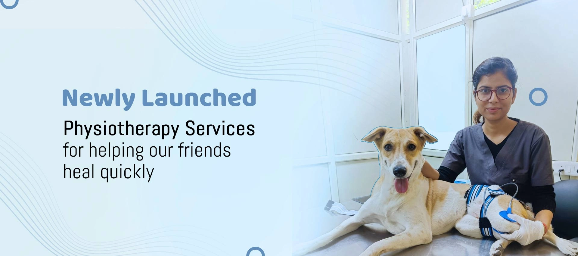Best emergency pet hospital in Gurgaon | emergency vet clinic near me | CGS Hospital Best emergency pet hospital in Gurgaon | emergency vet clinic near me | CGS Hospital