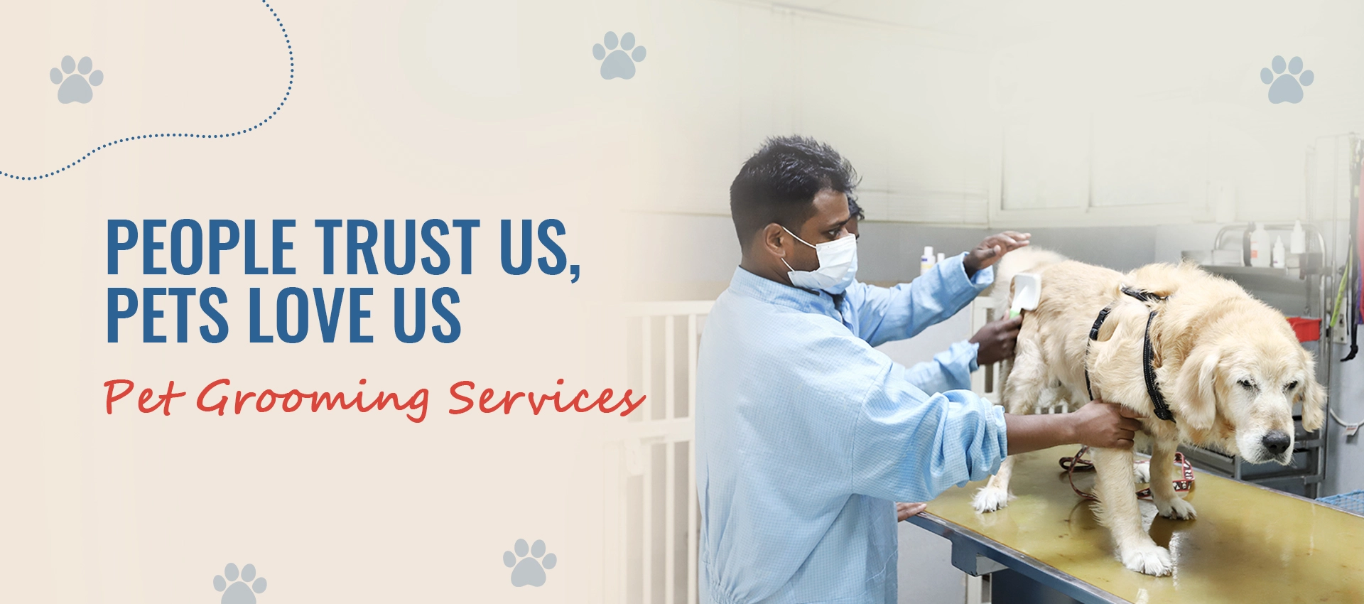 pet care doctor