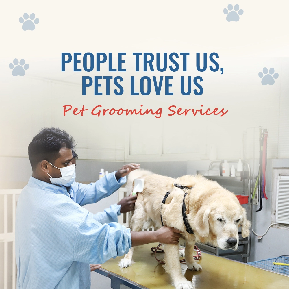 Best emergency pet hospital in Gurgaon | emergency vet clinic near me | CGS  Hospital