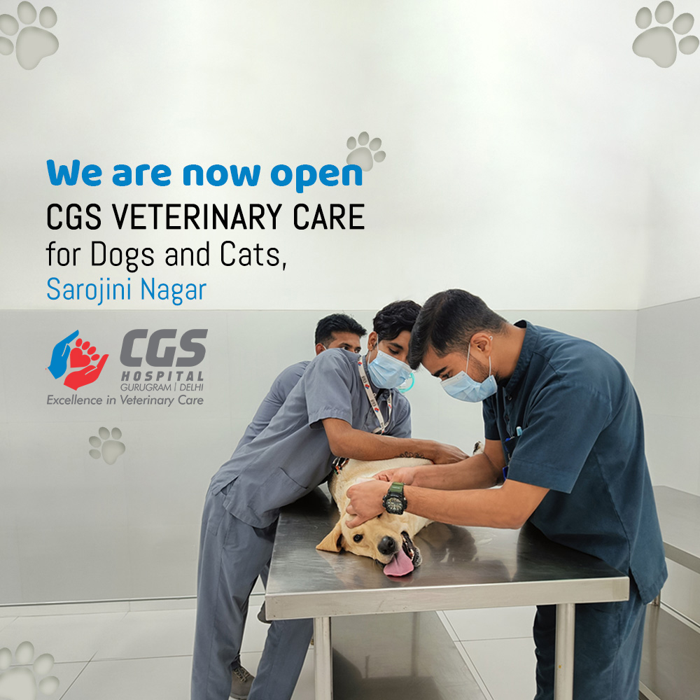 pet care doctor