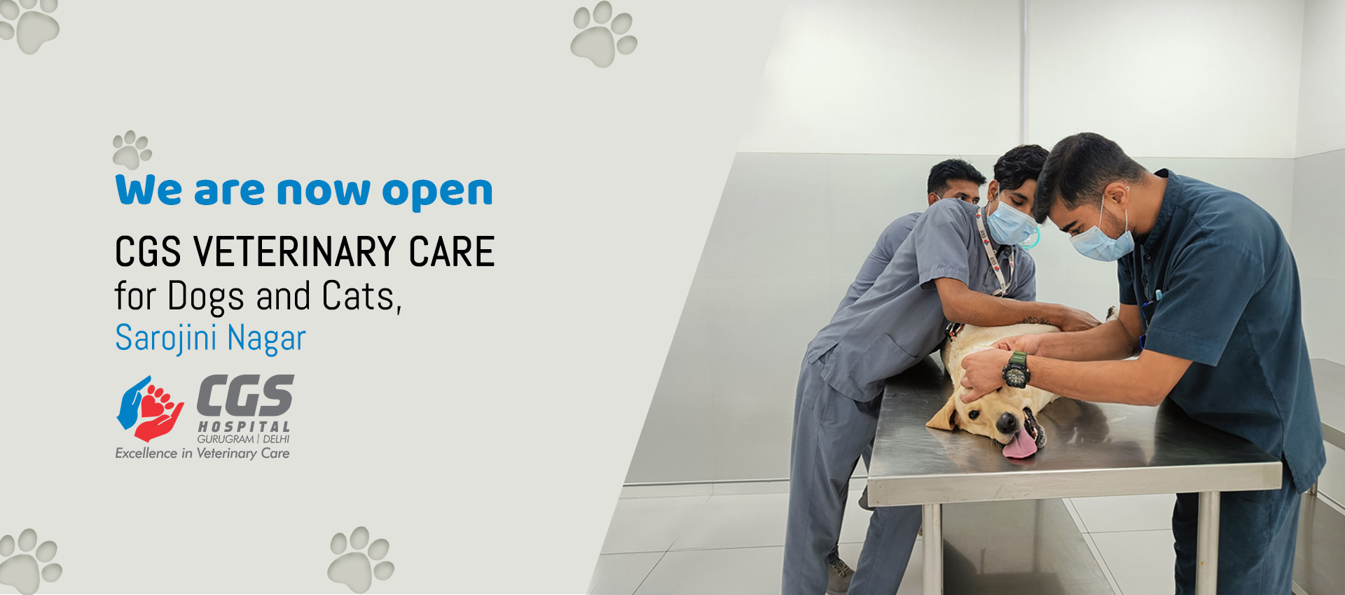 pet care doctor